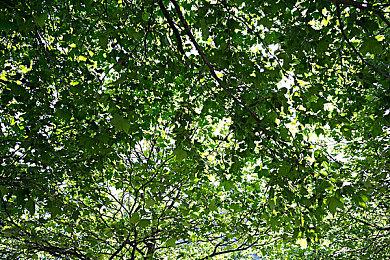 《死亡之屋2：重制版》主机版画质帧率公布 目标4K+120帧